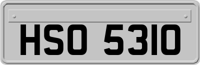 HSO5310