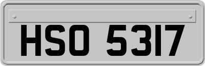 HSO5317