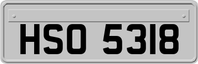 HSO5318
