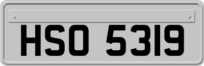 HSO5319