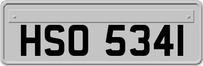 HSO5341