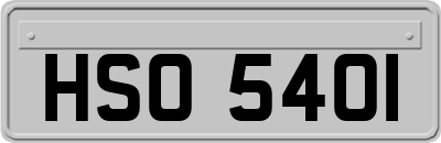 HSO5401