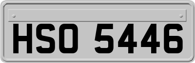 HSO5446