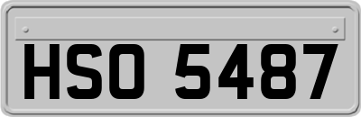 HSO5487