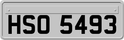 HSO5493