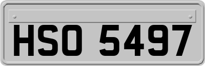 HSO5497