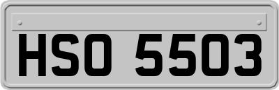 HSO5503