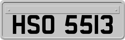 HSO5513