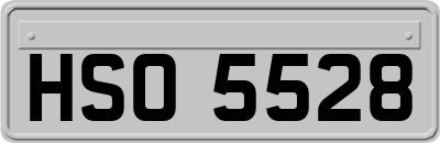 HSO5528