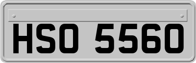 HSO5560