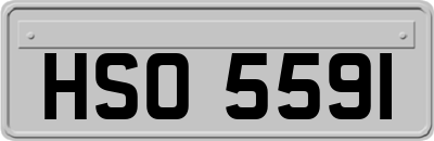 HSO5591