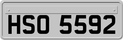 HSO5592