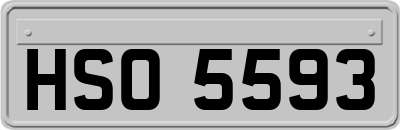 HSO5593