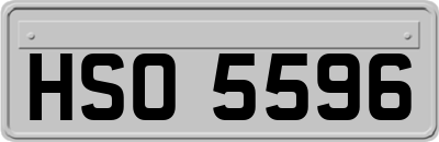 HSO5596
