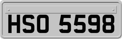 HSO5598