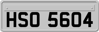 HSO5604