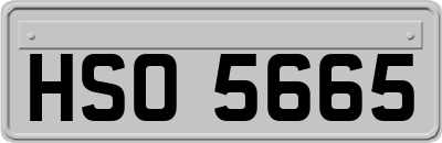 HSO5665
