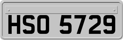 HSO5729