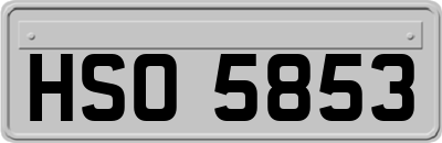 HSO5853