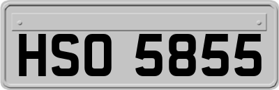 HSO5855