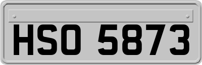 HSO5873