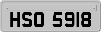 HSO5918