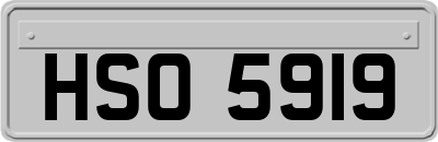 HSO5919