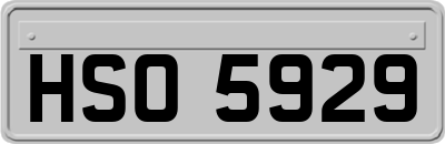HSO5929