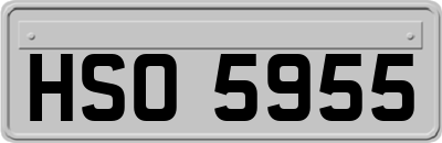 HSO5955