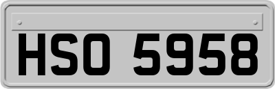 HSO5958