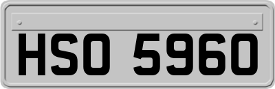 HSO5960