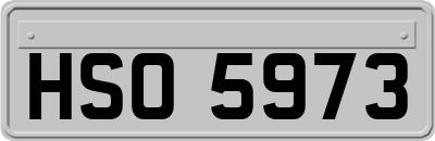 HSO5973