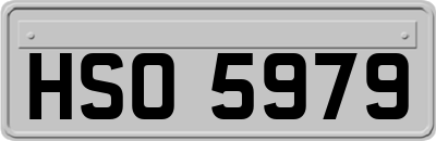 HSO5979