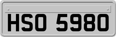 HSO5980