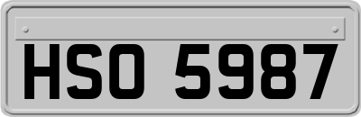 HSO5987