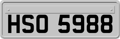 HSO5988