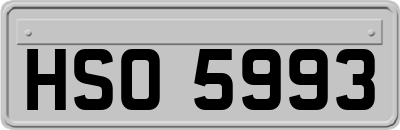 HSO5993