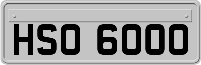 HSO6000