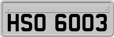 HSO6003