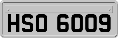 HSO6009