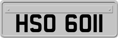 HSO6011