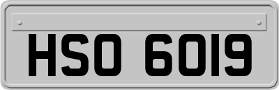 HSO6019