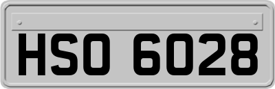 HSO6028