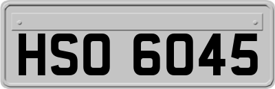 HSO6045