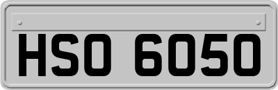 HSO6050