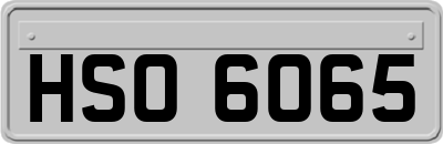 HSO6065