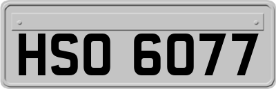 HSO6077