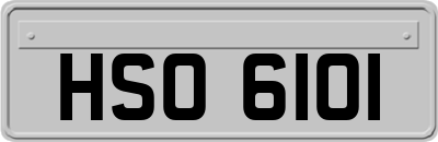 HSO6101