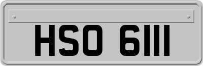 HSO6111