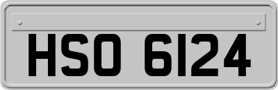 HSO6124
